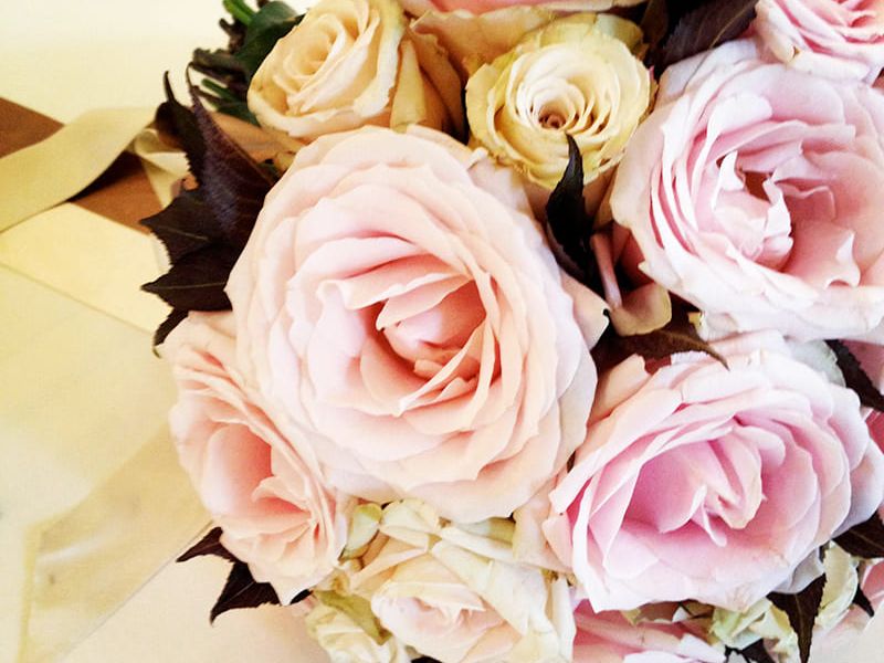 wp-content/uploads/flower-design.jpg